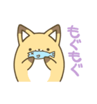 公式キャラクター TRIANGLE（個別スタンプ：1）