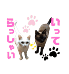ぐれ＆はな☆スタンプ（個別スタンプ：3）
