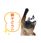 ぐれ＆はな☆スタンプ（個別スタンプ：13）
