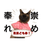 ぐれ＆はな☆スタンプ（個別スタンプ：40）
