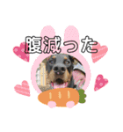 タイソン⭐（個別スタンプ：10）