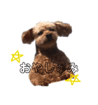 みかんをつくるここあくん（個別スタンプ：7）