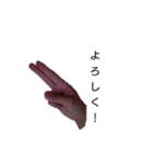 リアル手スタンプ（個別スタンプ：6）