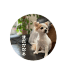 モカさんの喜怒哀楽（個別スタンプ：4）