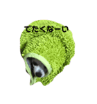 モカさんの喜怒哀楽（個別スタンプ：5）