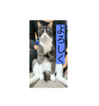名前はマック（個別スタンプ：1）