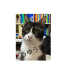 名前はマック（個別スタンプ：3）