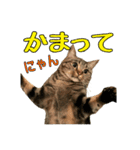 Leo.Leo Studio1（個別スタンプ：4）
