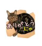 Leo.Leo Studio1（個別スタンプ：8）