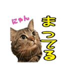 Leo.Leo Studio1（個別スタンプ：10）