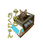 Leo.Leo Studio1（個別スタンプ：11）