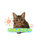 Leo.Leo Studio1（個別スタンプ：13）