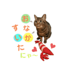 Leo.Leo Studio1（個別スタンプ：15）