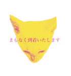 ミィちゃま＆ほっちっち（個別スタンプ：36）