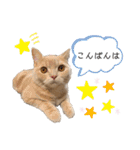 ♡むぎのスタンプ♡（個別スタンプ：3）