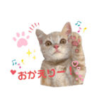 ♡むぎのスタンプ♡（個別スタンプ：8）