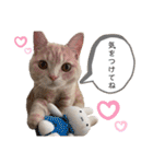 ♡むぎのスタンプ♡（個別スタンプ：10）
