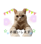 ♡むぎのスタンプ♡（個別スタンプ：12）