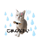 ♡むぎのスタンプ♡（個別スタンプ：13）