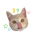 ♡むぎのスタンプ♡（個別スタンプ：15）