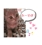 ♡むぎのスタンプ♡（個別スタンプ：22）
