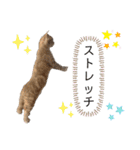 ♡むぎのスタンプ♡（個別スタンプ：32）