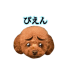 エル♡トイプードル（個別スタンプ：8）