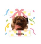 epiのスタンプ（個別スタンプ：6）