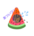 ココ～♪（個別スタンプ：1）
