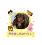 ココ～♪（個別スタンプ：3）