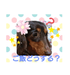 ココ～♪（個別スタンプ：4）