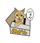 ネコのるいくん（個別スタンプ：2）