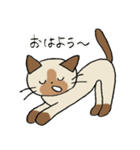 子猫のすみちゃん（個別スタンプ：2）