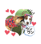 愛しのラピス（個別スタンプ：1）