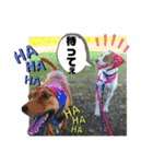 愛しのラピス（個別スタンプ：2）