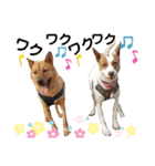 愛しのラピス（個別スタンプ：3）
