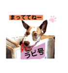 愛しのラピス（個別スタンプ：7）