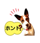 愛しのラピス（個別スタンプ：8）