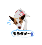 愛しのラピス（個別スタンプ：9）