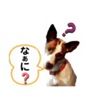 愛しのラピス（個別スタンプ：10）