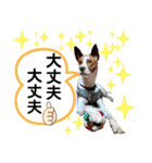 愛しのラピス（個別スタンプ：16）