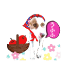 愛しのラピス（個別スタンプ：17）