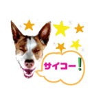 愛しのラピス（個別スタンプ：18）