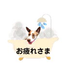 愛しのラピス（個別スタンプ：24）