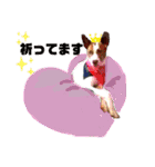 愛しのラピス（個別スタンプ：30）