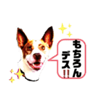愛しのラピス（個別スタンプ：31）