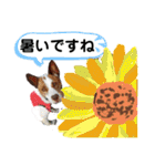 愛しのラピス（個別スタンプ：34）