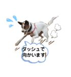 愛しのラピス（個別スタンプ：35）