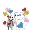 愛しのラピス（個別スタンプ：37）