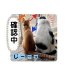 愛しのラピス（個別スタンプ：39）